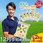 SE0632 特別栽培米つや姫 2kg×6回