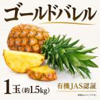 パイナップル 1玉