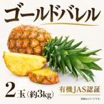 パイナップル 2玉