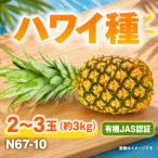 パイナップル ハワイ種 2~3玉 約3kg