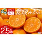 予定 甘さ凝縮 フレッシュ ご ご自宅 蜜柑 果肉