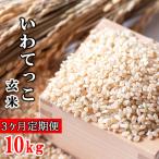 新米 いわてっこ 玄米 10kg