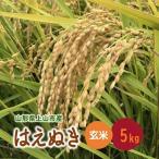 令和8年産 米 はえぬき 玄米 5kg
