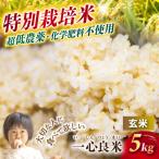令和8年産 こしひかり 単一原料 5kg