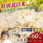 コシヒカリ 米ぬか 牡蠣栽培米 一心良米 白米10kg 5kg×2袋