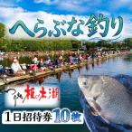 釣り堀 入場券 10枚