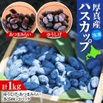 冷凍 ハスカップ 計1kg
