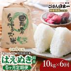 特別栽培米 はえぬき 精米 10kg