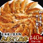 八雲名物 八雲だし餃子40個 10個入×4箱