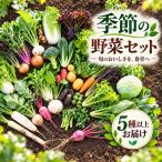 季節の野菜セット 旬 野菜