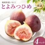 福岡産ブランド無花果 とよみつひめ 約300g×4パック