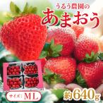 うるう農園のあまおう MLサイズ 約160g×4パック
