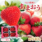 うるう農園のあまおう MLサイズ 約160g×4P