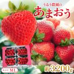 うるう農園のあまおう MLサイズ 約160g×20P