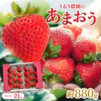 うるう農園のあまおう 2Lサイズ 約220g×4P