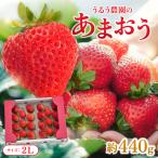 うるう農園のあまおう 2Lサイズ 約220g×2P