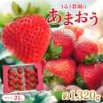 うるう農園のあまおう 2Lサイズ 約220g×6P
