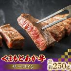 くまもとあか牛サーロイン 計250g