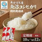 令和8年産 新米 特別栽培米 棚田米 精米 合計120kg
