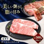 佐賀牛 サーロインステーキ 500g