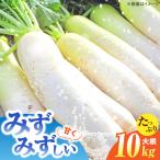 大根10kg 株式会社エムツー食品開発研究所