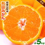 秀品 紀州有田みかん 約5kg