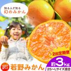 訳あり 若野みかん 2S~Lサイズ みかん 約3kg