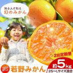 訳あり 若野みかん 2S~Lサイズ みかん 約5kg