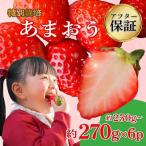 訳あり あまおう 約250g~約270g×6P