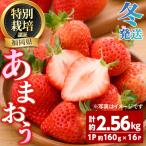うるう農園のあまおう MLサイズ 計約2.56kg 約160g×16P