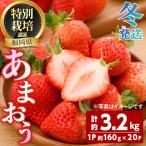 うるう農園のあまおう MLサイズ 計約3.2kg 約160g×20P