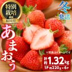 うるう農園のあまおう 2Lサイズ 計約1.32kg 約220g×6P