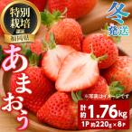うるう農園のあまおう 2Lサイズ 計約1.76kg 約220g×8P