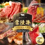 常陸牛 定期便 エコノミークラス KM-046