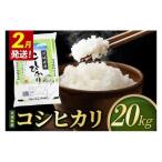 米 コシヒカリ 精米 20kg