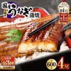 大隅産 うなぎ 蒲焼 4尾
