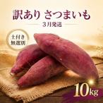 さつまいも 生芋 紅はるか 10kg