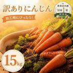 訳あり にんじん 約15kg