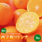 ゼリーのような食感で大の西宇和マドンナ
