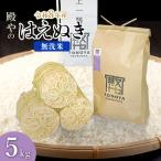 はえぬき 無洗米 5kg