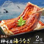 神味羅海うなぎ 蒲焼き 2尾