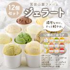 箕面山麓ファームジェラート 12種のごほうびジェラート