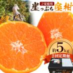 みかん ご 崖っぷち蜜柑 若野産 約5kg