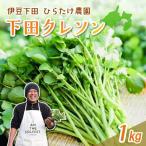 クレソン 下田クレソン 1kg