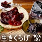 生きくらげ 800g