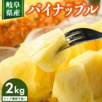 のオジイ パイナップル 2kg