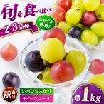 訳あり ぶどう 切り落とし セット 旬の詰め合わせパック