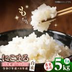 にこまる5kg お米 米 こめ