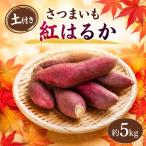 さつまいも 生芋 紅はるか 約5kg