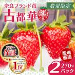 いちご 古都華 サイズ混合 約270g×2パック